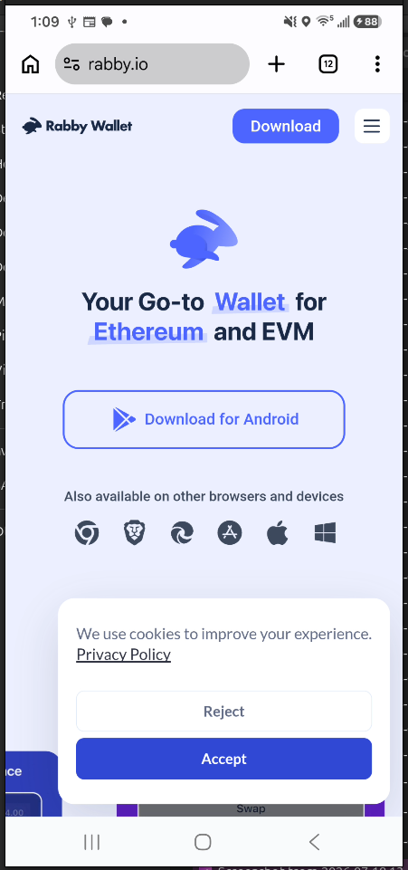 Official Rabby download page on a phone