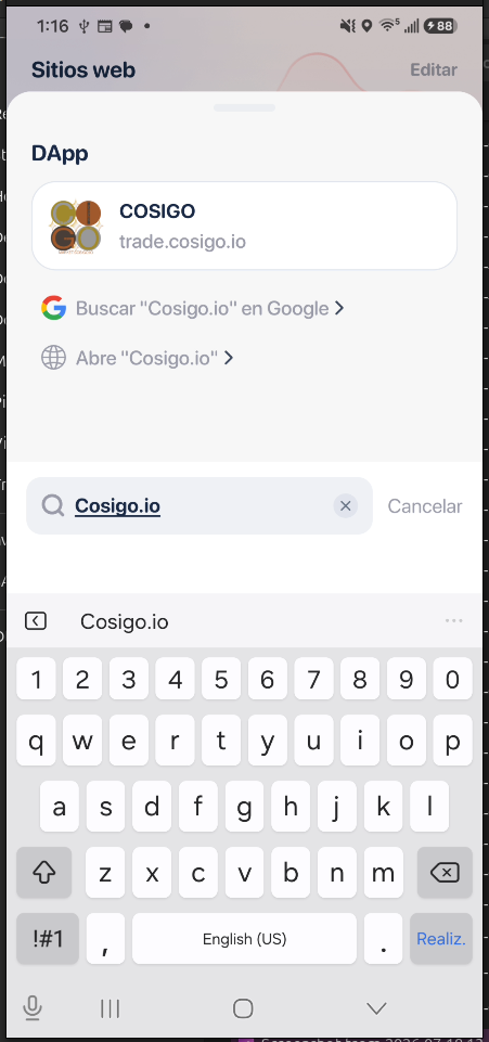 Entering cosigo.io in Rabby Sites web