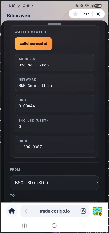Connected CIGO wallet with BNB Smart Chain and balances