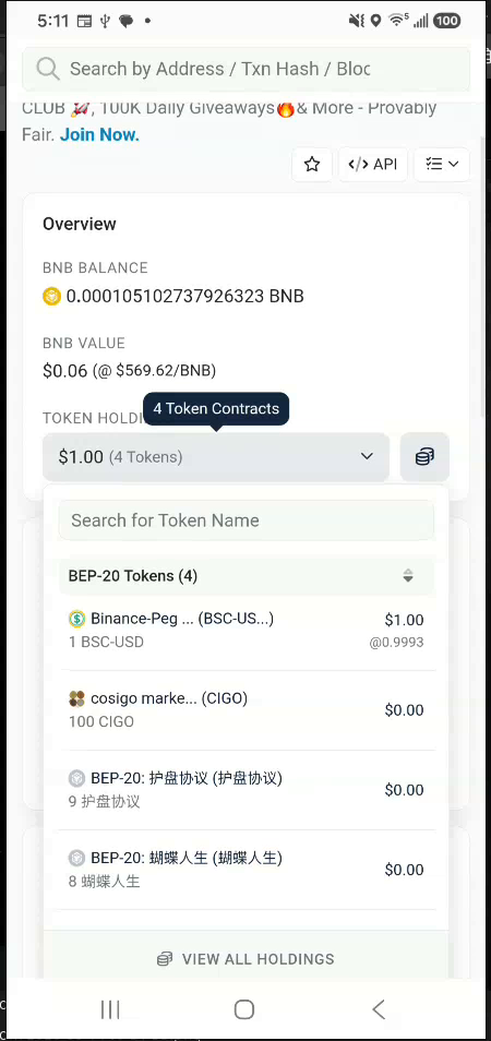 BscScan token holdings showing 100 CIGO, one USDT, and a small BNB balance