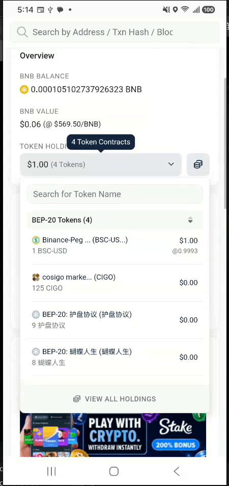 BscScan token holdings showing the increased 125 CIGO balance